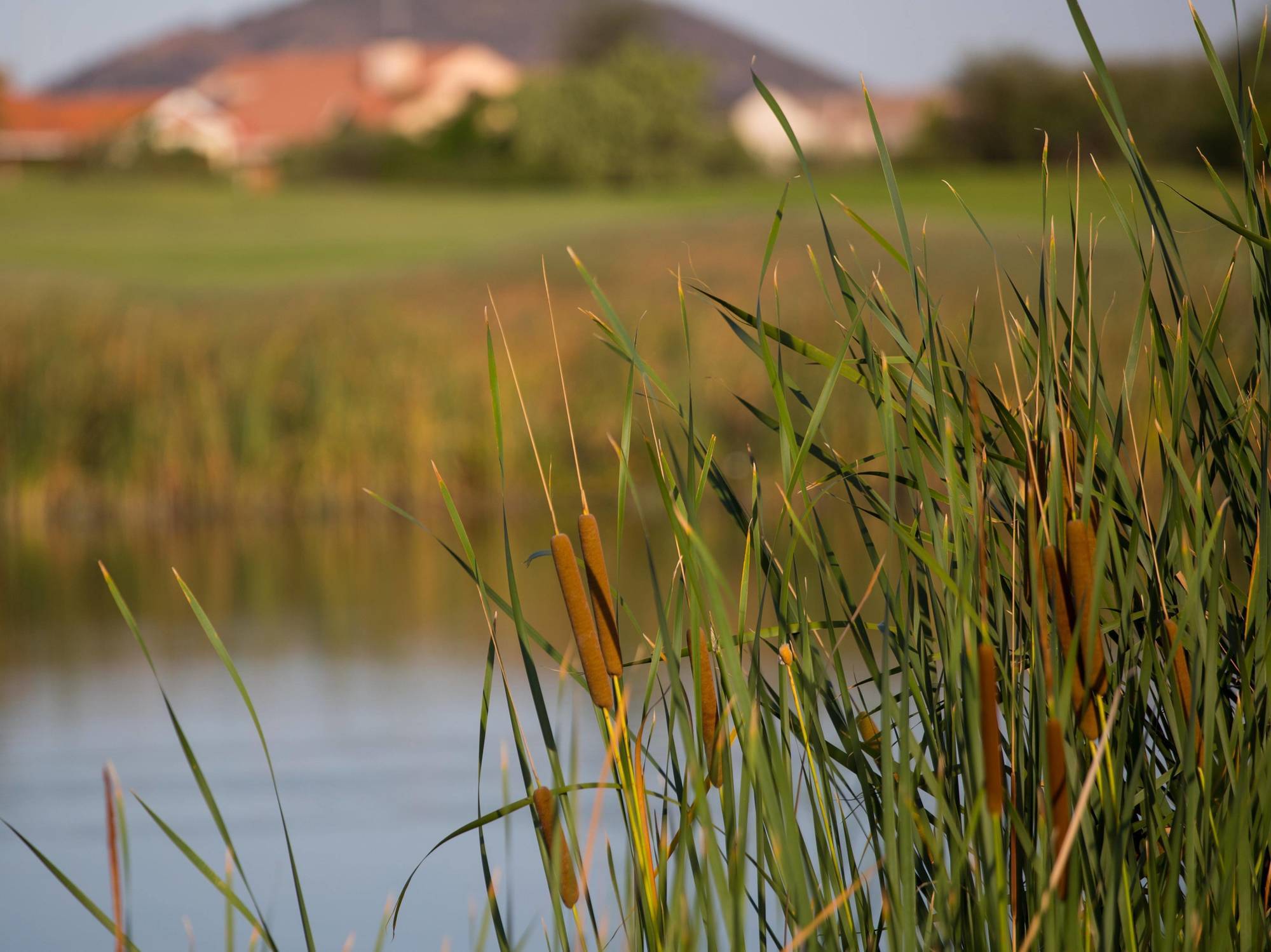 Phakalane Golf Estate Hotel Resort Gaborone Luaran gambar